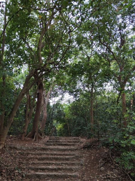 2023.12.24 高雄壽山2835322