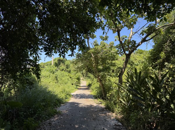 2025_1018 花蓮山步道2921265