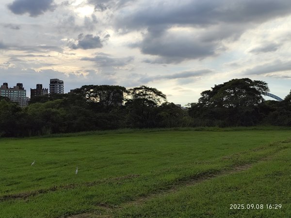 【臺北大縱走 8】萬壽橋頭(木柵)公車站→捷運關渡站［河濱自行車道］2881982