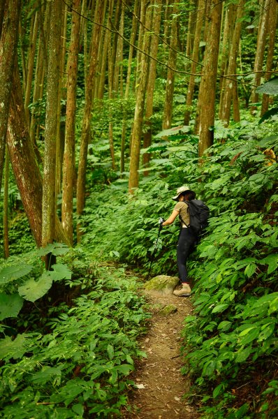 向天湖山光天高山O繞936799