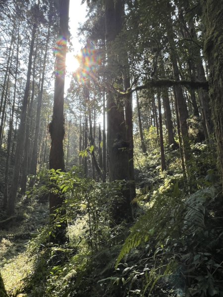 小百岳-金柑樹山2717254
