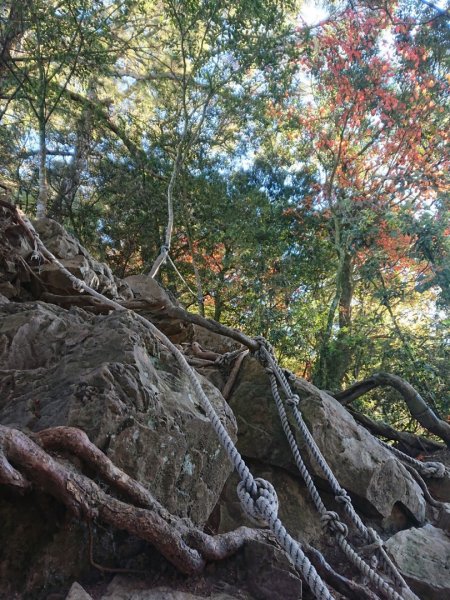 稍來南主峰、烏石坑山O走1558713