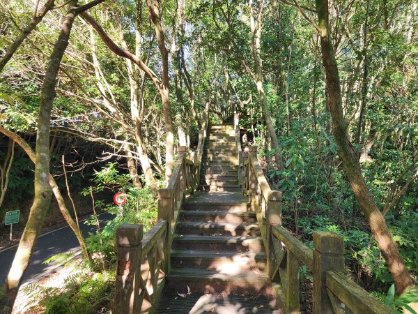 小百岳No.20⛰獅仔頭山2917923