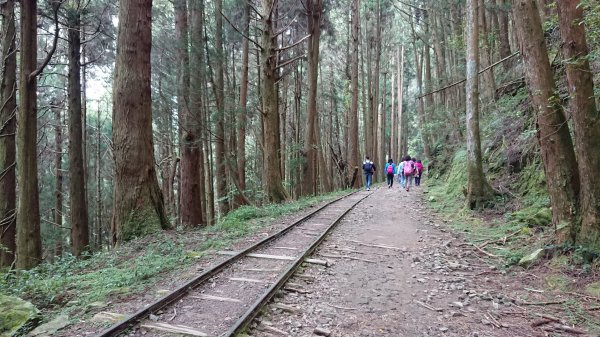 特富野1714031