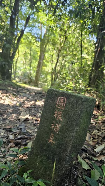 【雨過不只天晴，是悶熱到爆啊！😵😵‍💫】第22次下尾寮山。3078304