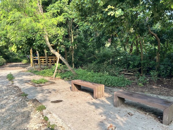 北柴山登山步道2909285