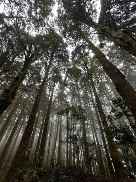 年輕人爬山趣～ 高島縱走 3/4 20232088615