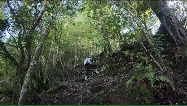 阿里山頂湖三連峰:天福山、芙蓉山、凸龜山2810087
