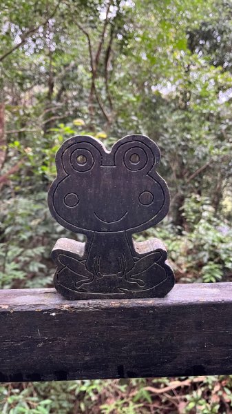 小百岳_大崙頭山2959959