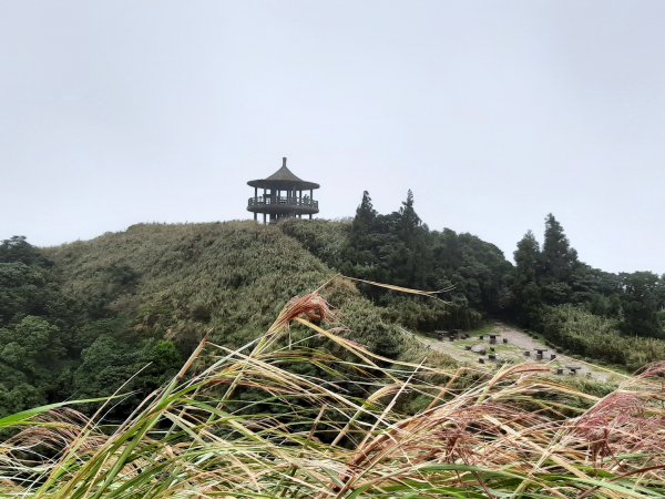 秋日。漫步在雲端700219