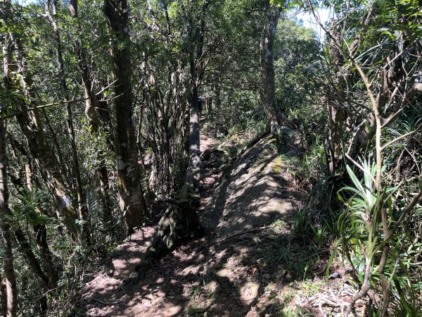 [微笑山線_第九段] 2025_0914 二格山系_皇帝殿東峰2889525