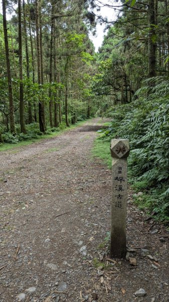 113.06.22坪溪古道-石坑山之旅2533773