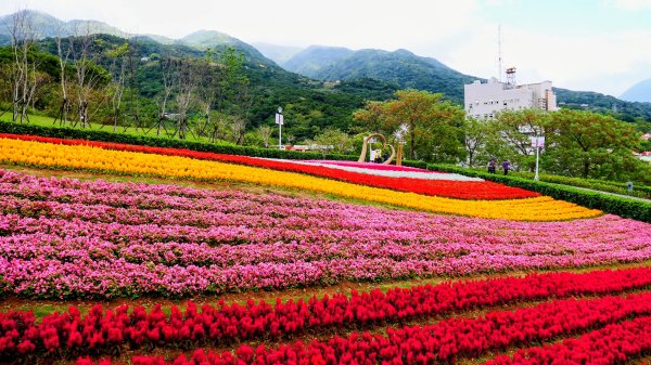 北投社三層崎3010993