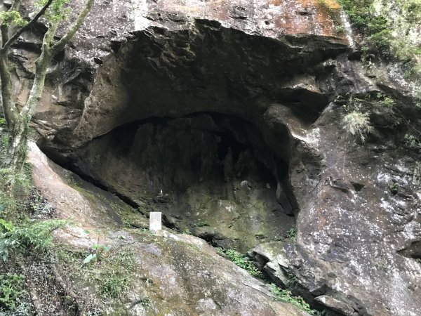 2021.12.11 石底觀音山O型  石底觀音寺1548639