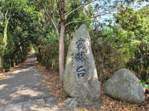 松柏嶺登廟步道1188989