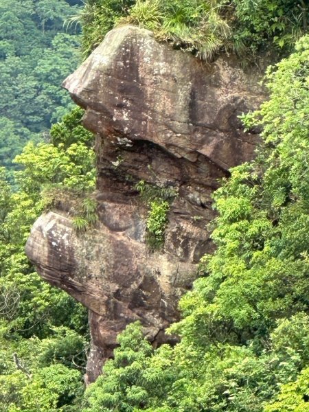 南勢坑山、鑽石峰、人面頭山、獅公髻尾山O走封面