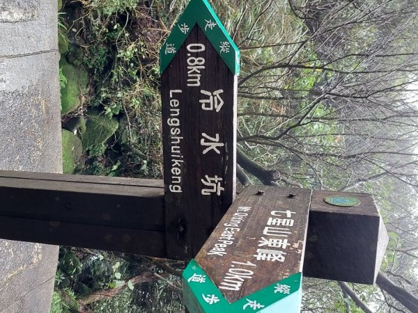 小油坑～七星山～冷水坑～擎天崗1940744