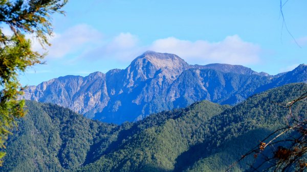 《踏莎行・武陵山櫻》2712449