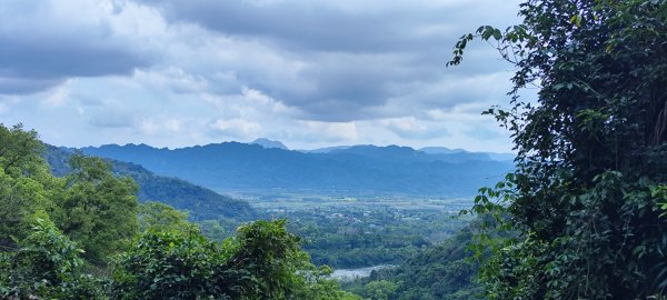 花蓮瑞穗．富源國家森林遊樂區景觀步道202602203013172