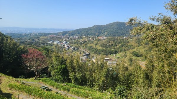 2025-0130溪和宮-大崎頭步道-鵝尾山-平溪步道-鵝尾山水田-42巷-溪山百年古圳-平菁步道2701861