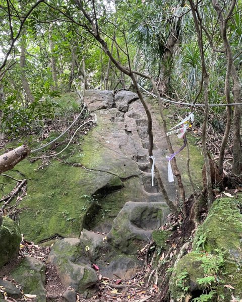 微笑山⛰️線-大棟-二格山-五分山-天上山-鳶山💎12條步道完成💙2836372