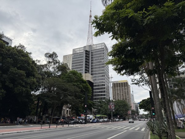 [紐約馬之行-74] 2025_1116 保利斯塔大道2957223