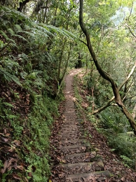 平溪區三功大厝+番子坑山+千階嶺步道O型2781168