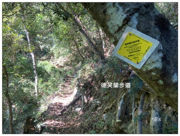北松鶴山、德芙蘭步道 (台中 和平)2922140