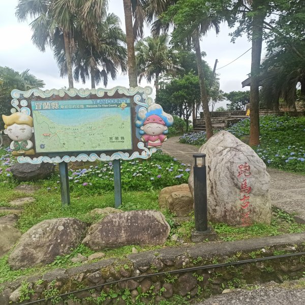 跑馬古道路邊的花1747315