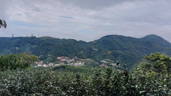 雲嘉九連峰1438994