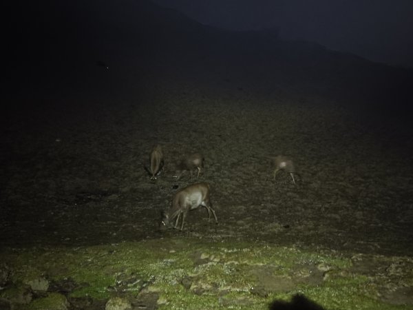 大水窟、達芬尖山2780090