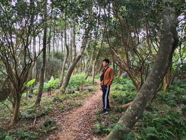 土城天上山，大暖尖山，猴洞，清水石門山，桐花公園，賞螢步道，承天禪寺，桃園福源山1645614