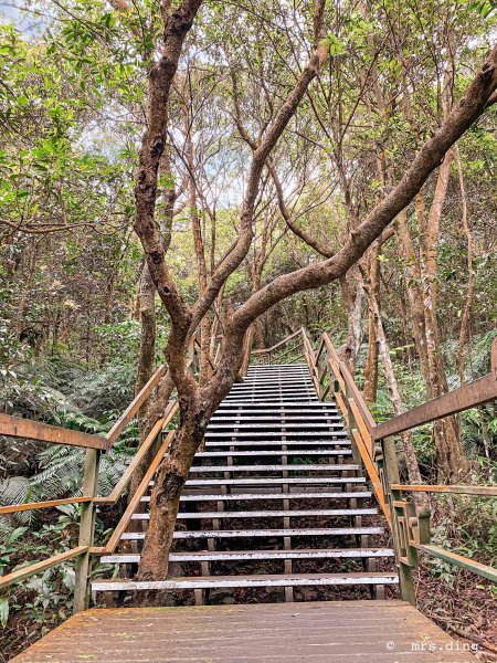 ＜小百岳＞台北市．大崙頭山904320