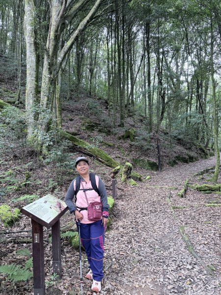 船型山神木悠遊    2025.09.222893812