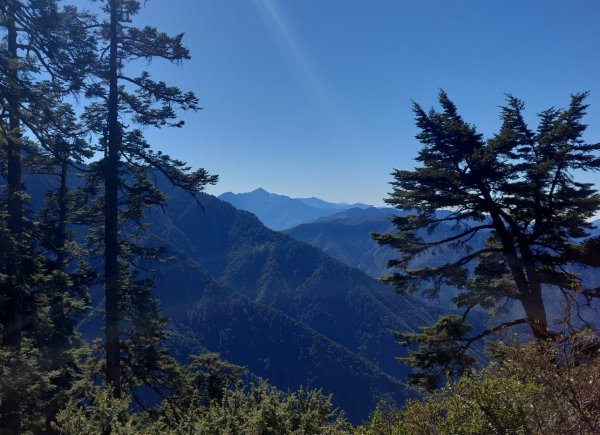 玉山前峰登山步道2378883