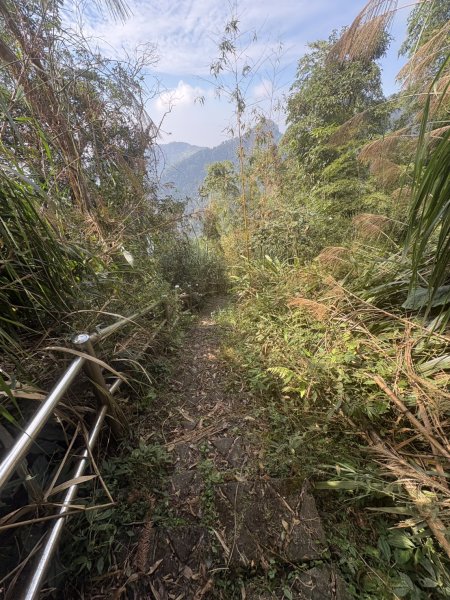 20251122大湖尖山步道(啟登直上第三涼亭)2944526