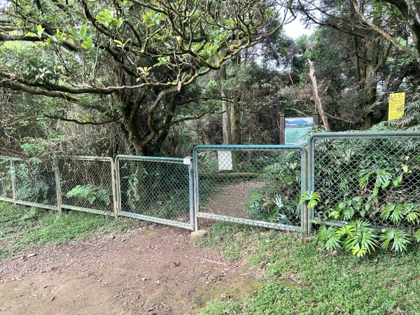 陽明山東西大縱走2786611