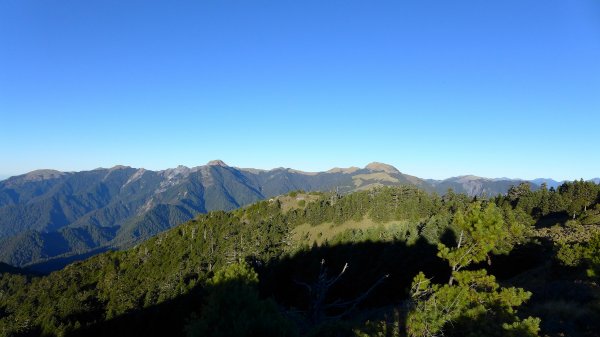 大好天氣的奇萊東稜489027