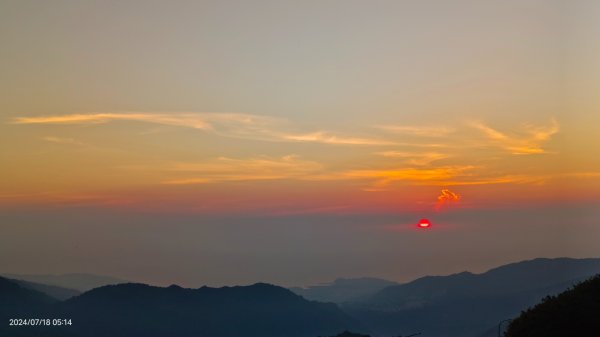 雲山水花鳥蝶 - 天龍國阿伯的日常7/18 & 21、22、292553975