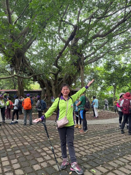 走訪新北市中和區及土城區的名勝古蹟：圓通禪寺、牛埔頭山、新加坡山2518452