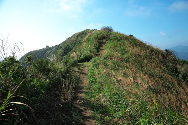 貂山古道與牡丹山O型2397853