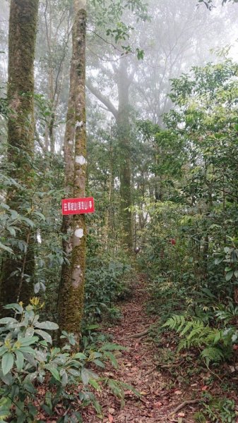 那結山（嘎色鬧部落線）893456