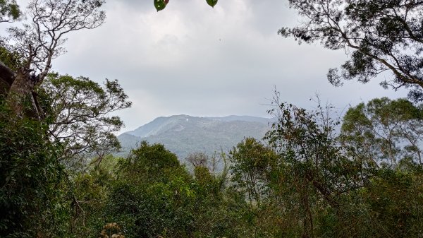 笠頂山3024135