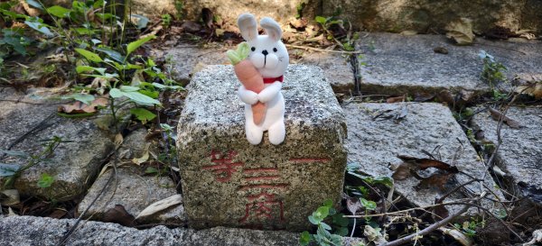 2025/11/22_大分林山步道2944206