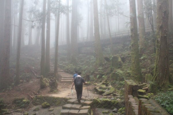 20201009嘉義特富野古道1137491