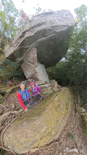 大坪祕境的奇岩2672556