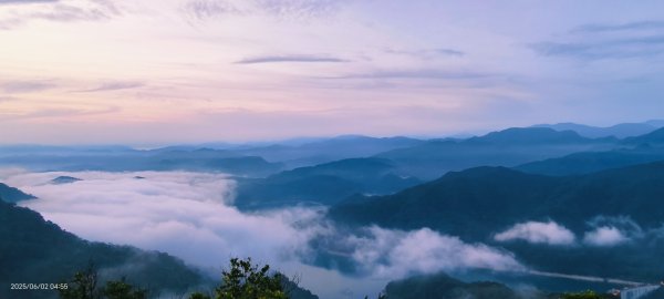 雲山水花鳥蝶-天龍國阿伯的日常6/22801953