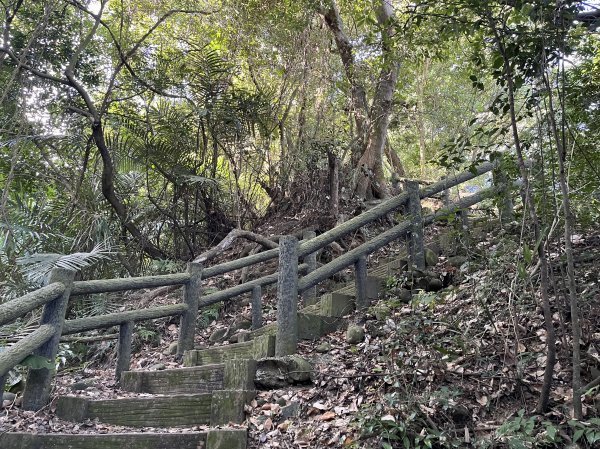 [森遊竹縣-06/10] 2023_1111 蓮華山古道群：飛龍步道、進香古道、採茶古道、載熙古道2346792