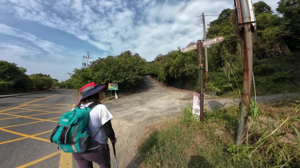 高雄 小崗山2927226