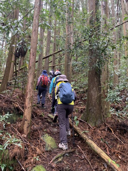 20251220嘉義凸龜山-芙蓉山-天福山2973784